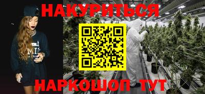 шишки Донской