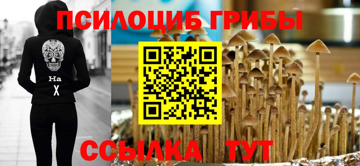 Новоалександровск  Псилоцибиновые грибы ЛСД  Вход с VPN 