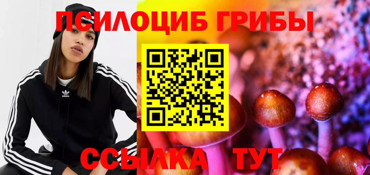 Галлюциногенные грибы Magic Shrooms Новоалександровск
